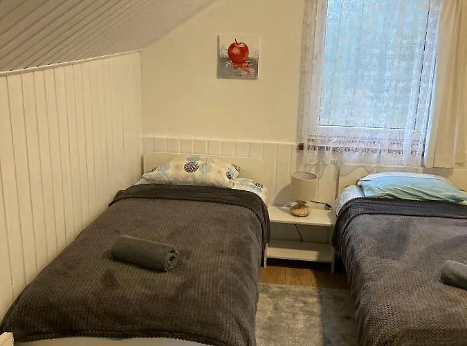 Homes Eliza * Друскининкай